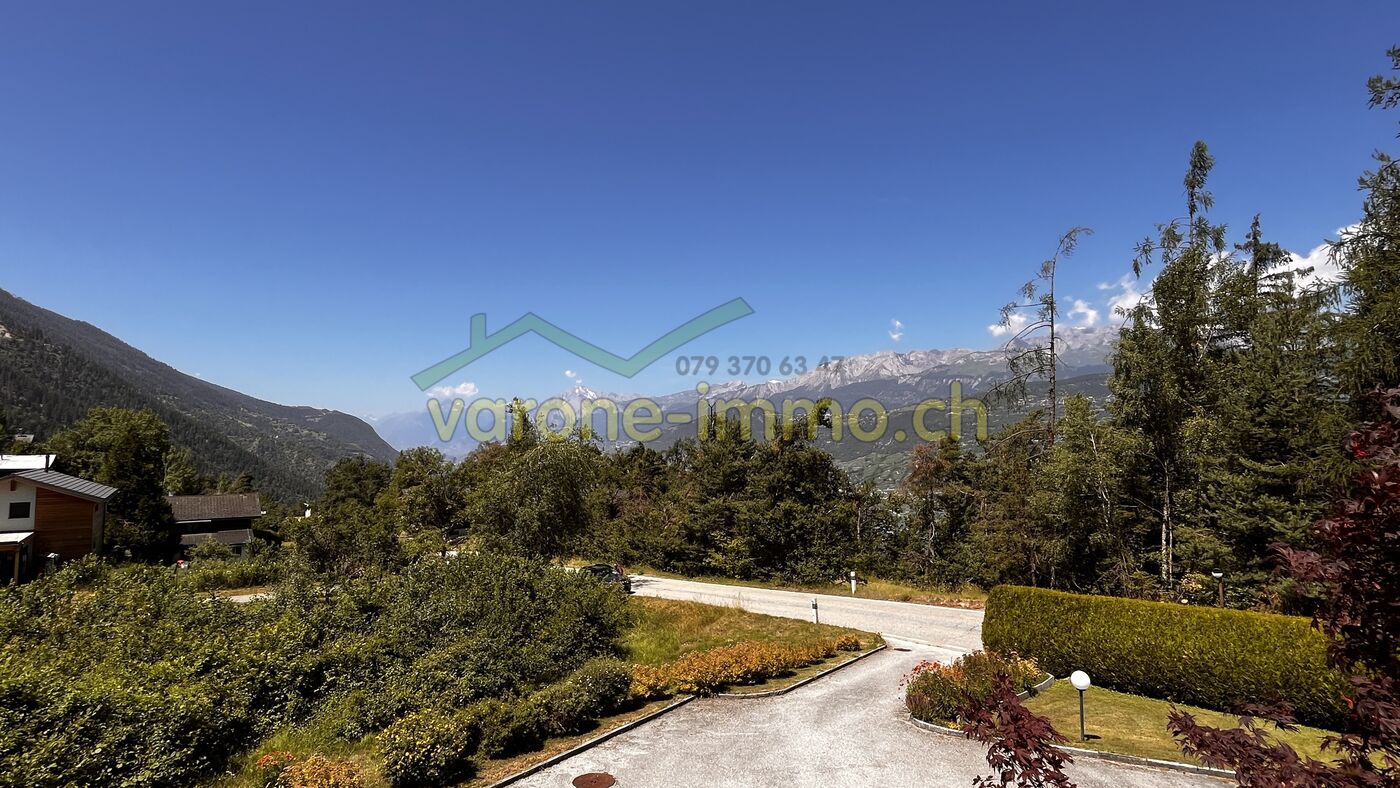 Bergpanorama mit Garten und Zufahrt