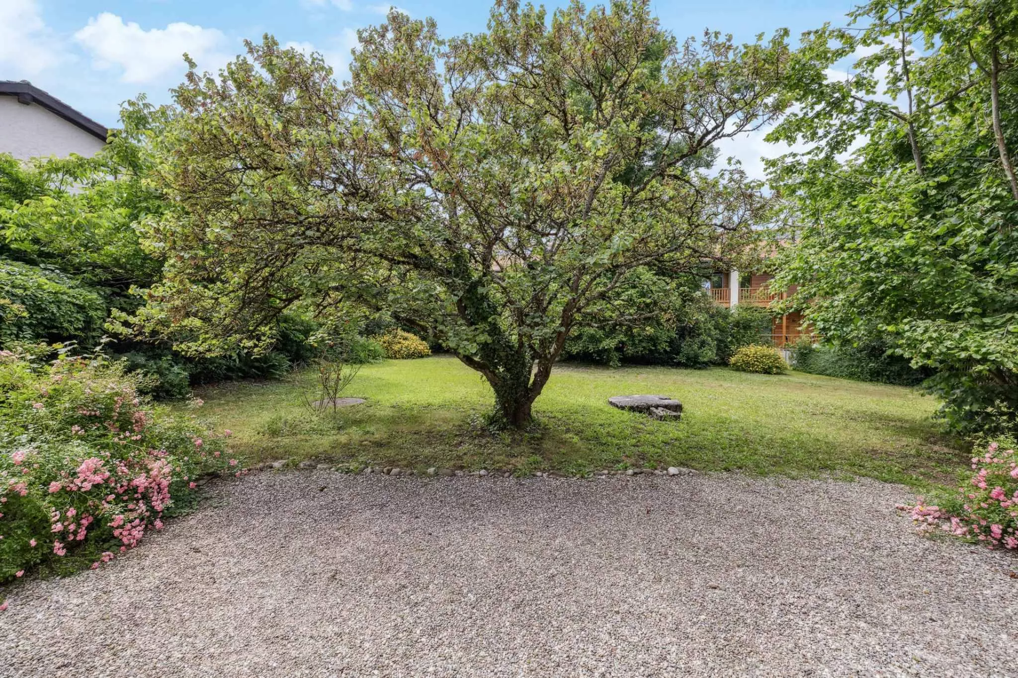 Garten mit großem Baum