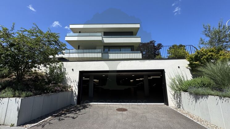 Moderne Villa mit Zufahrt und Garageneinfahrt