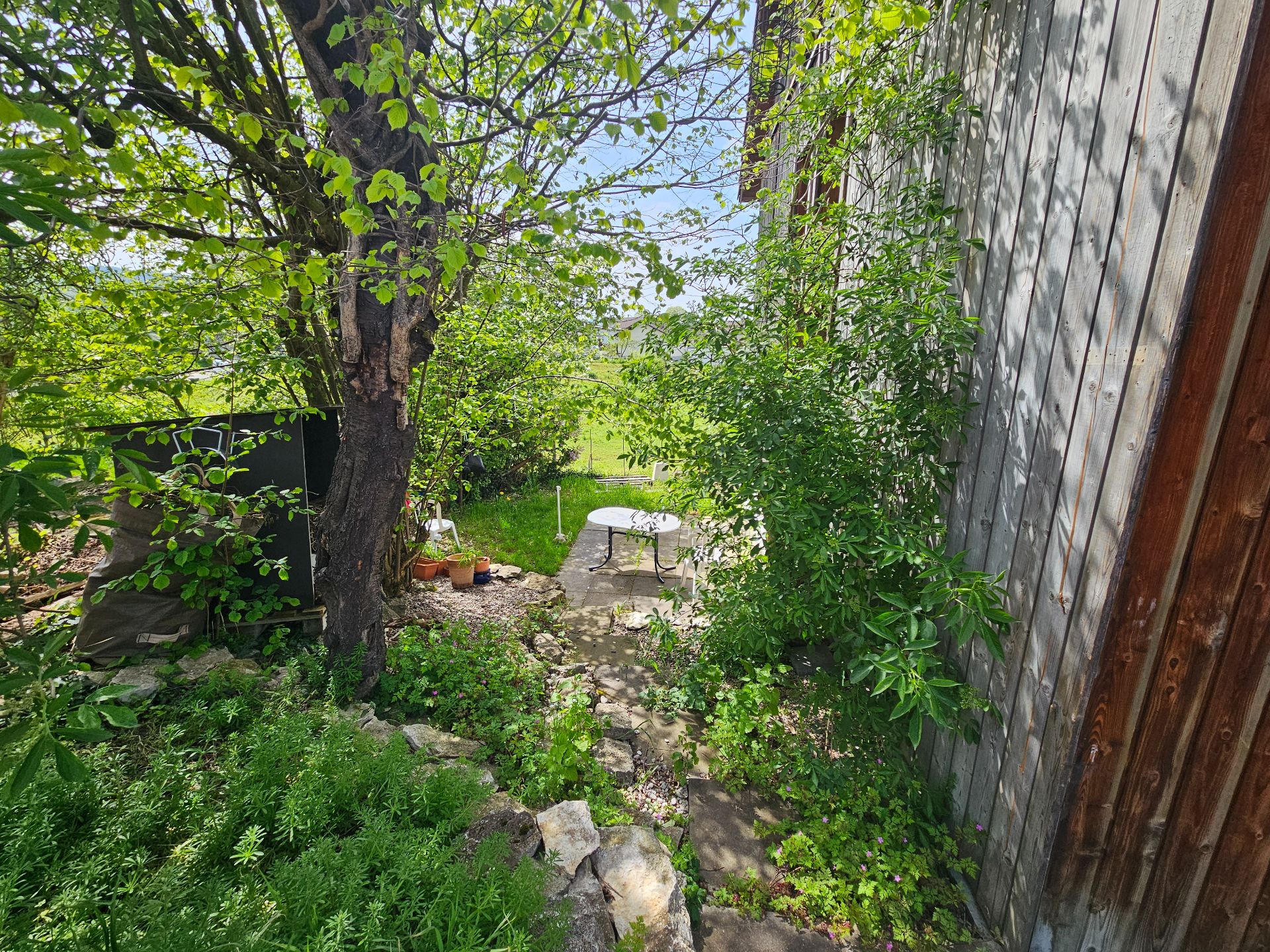 Wuchernder Garten mit Sitzplatz