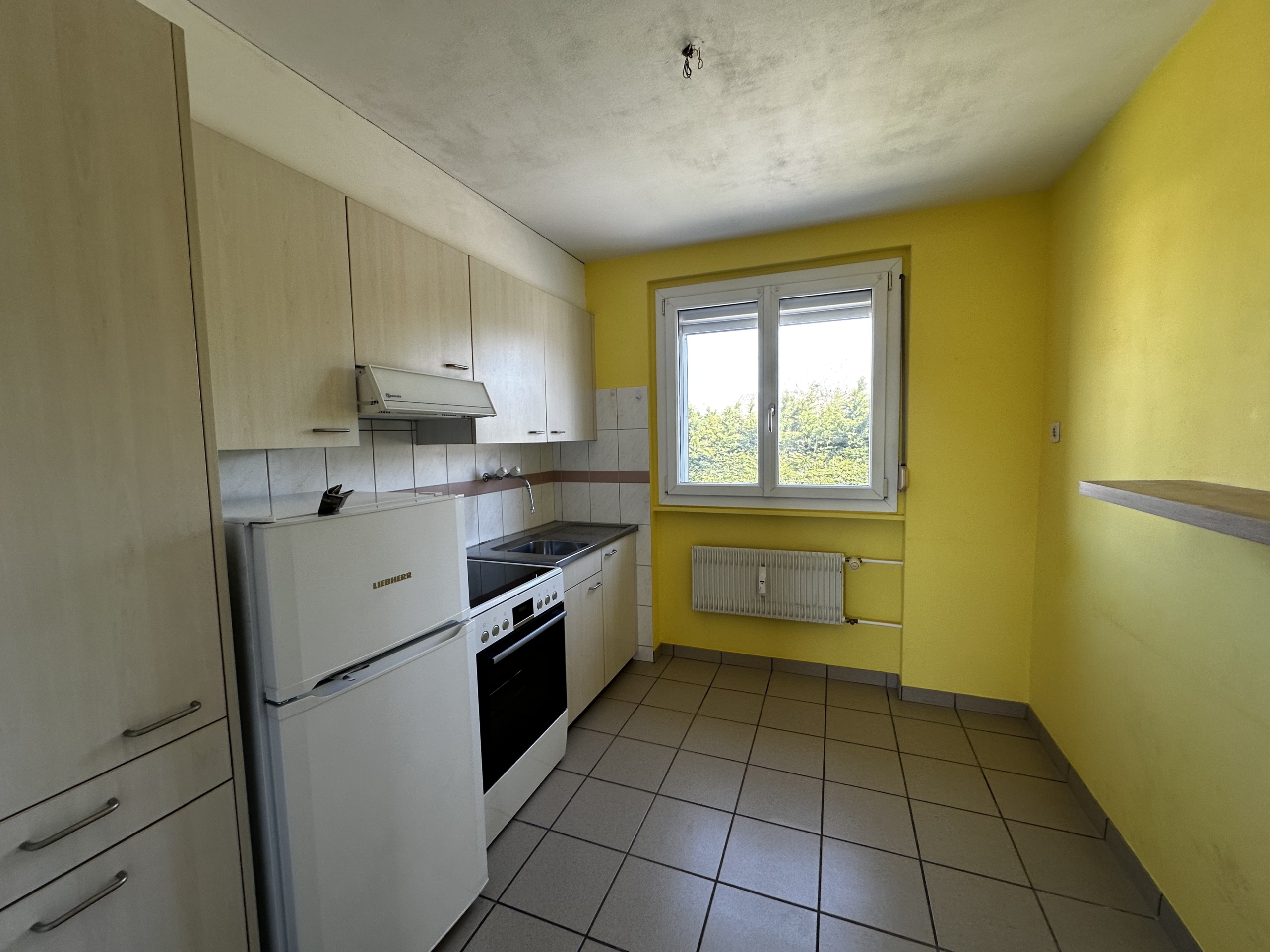Gelbe Küche mit Fenster und Einbauzeile