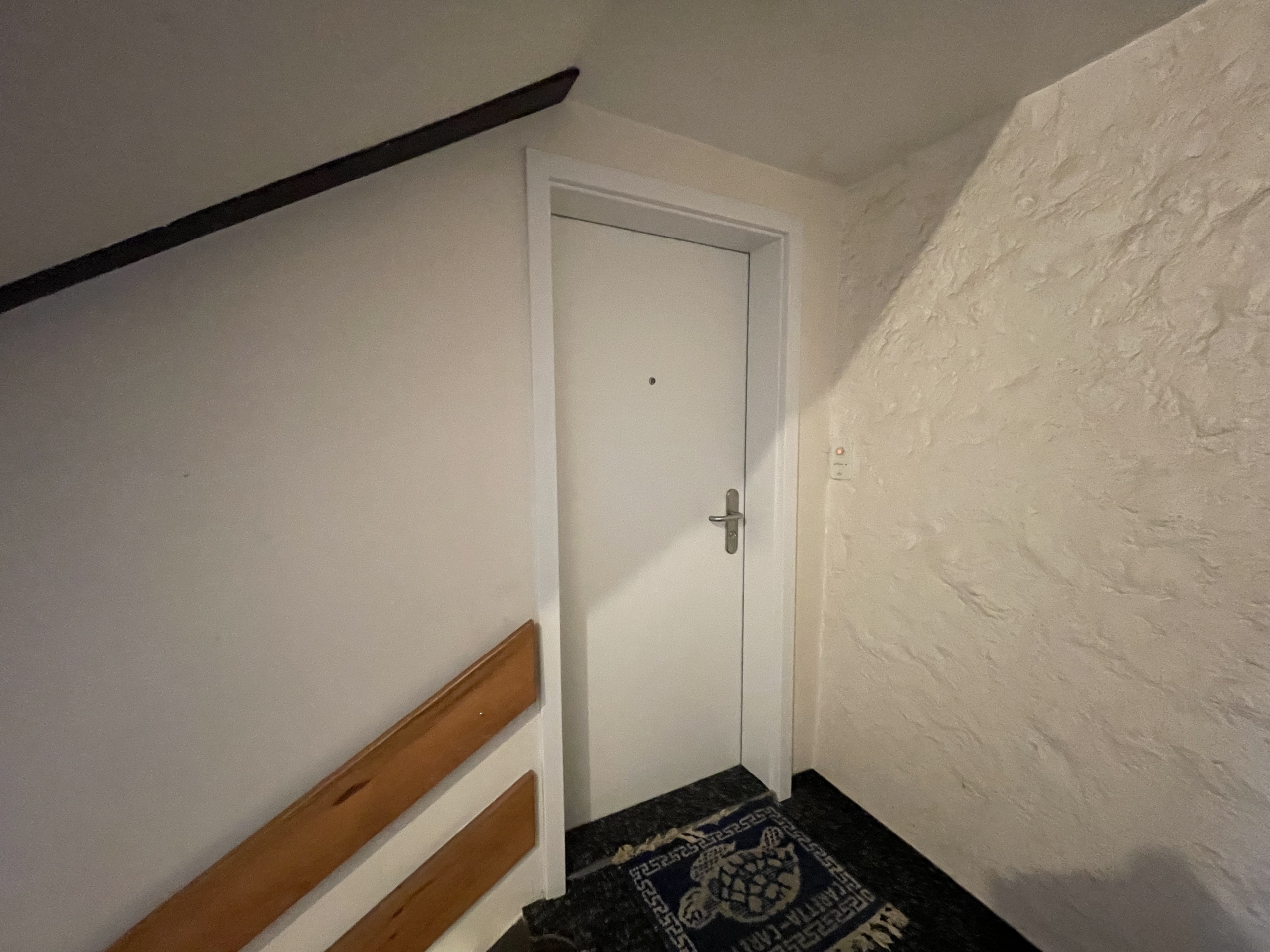 Treppenhaus mit weißer Eingangstür