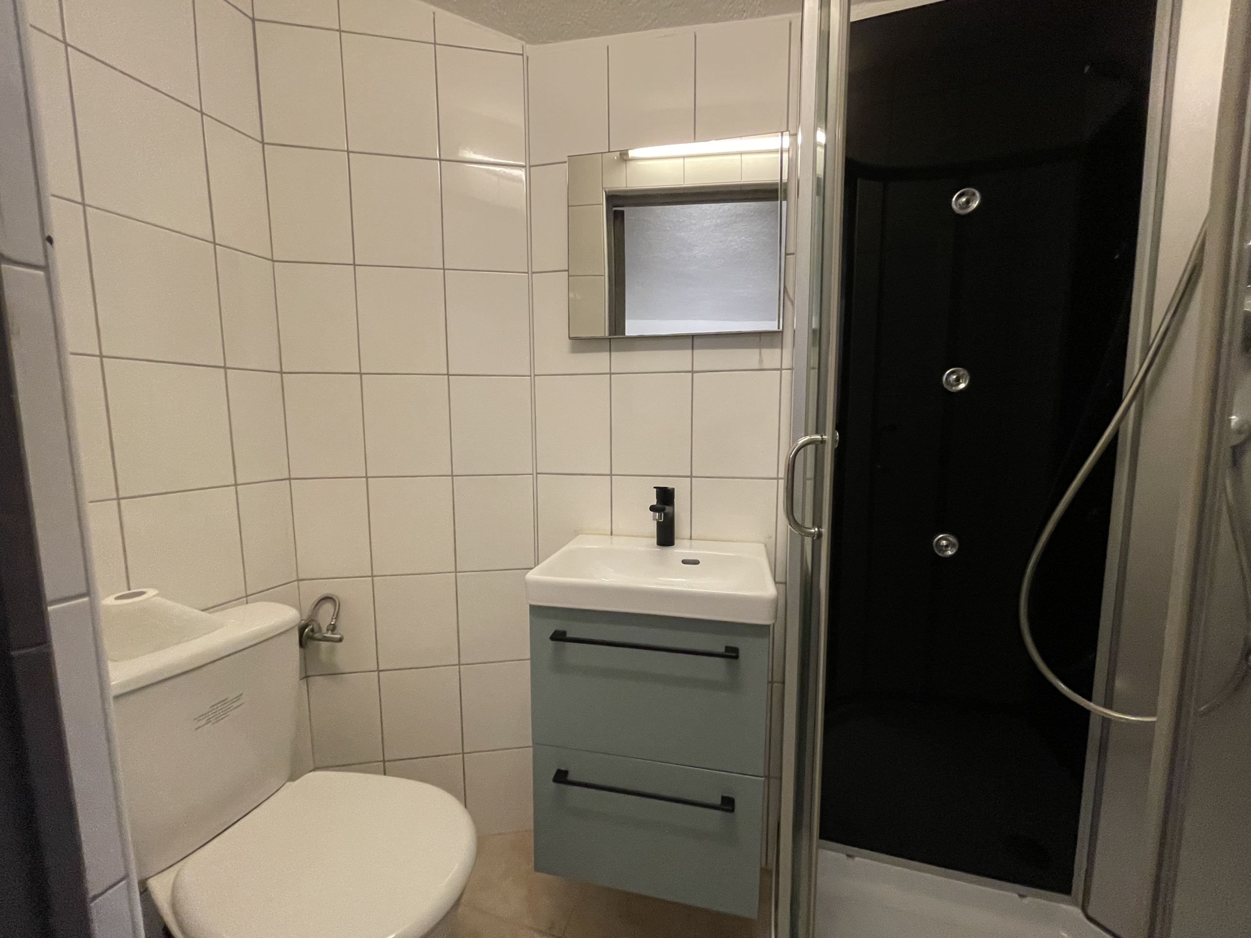 Kleines, modernisiertes Badezimmer mit Dusche und WC