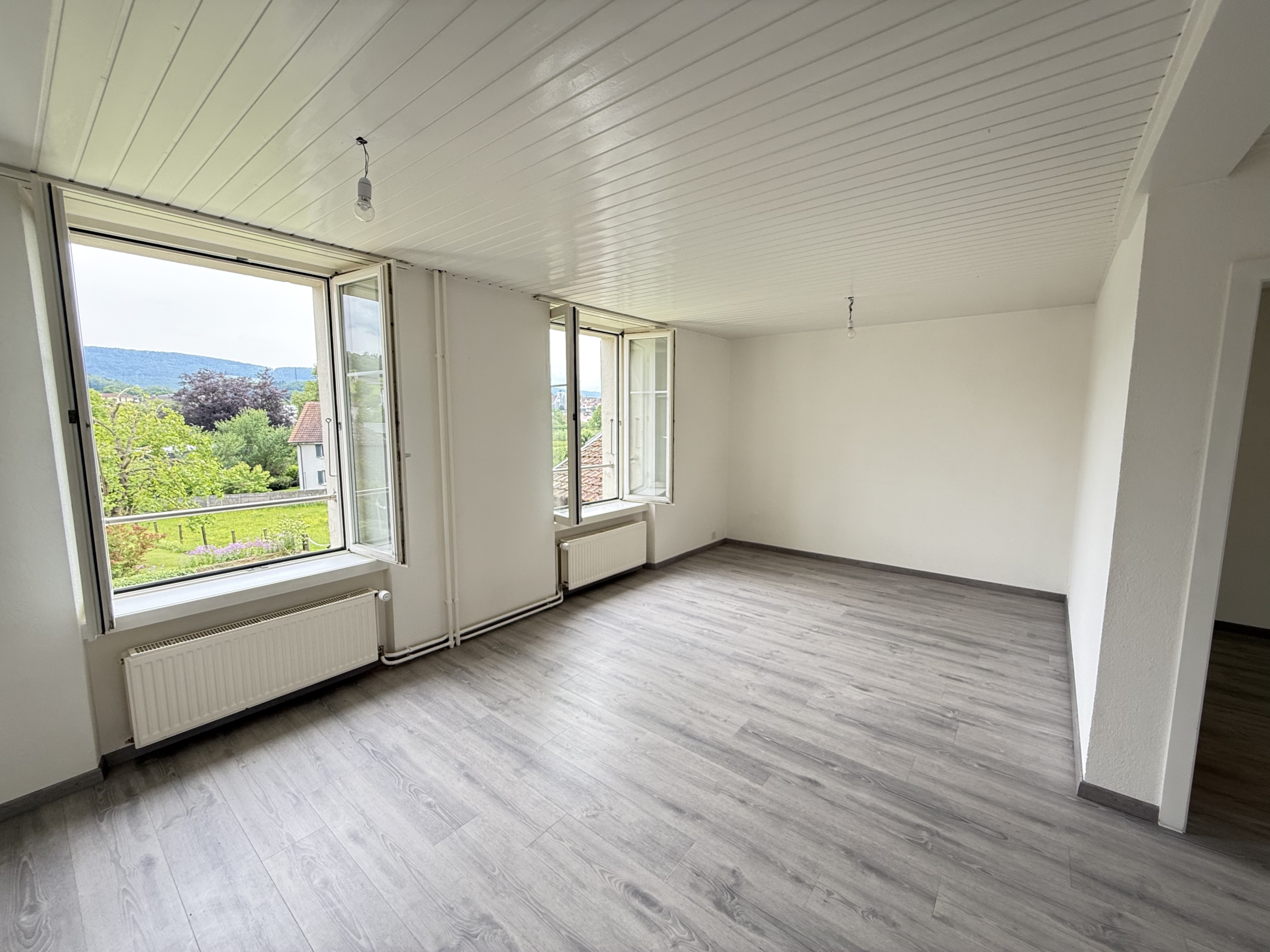 Heller leerer Wohnraum mit großen Fenstern und Ausblick ins Grüne