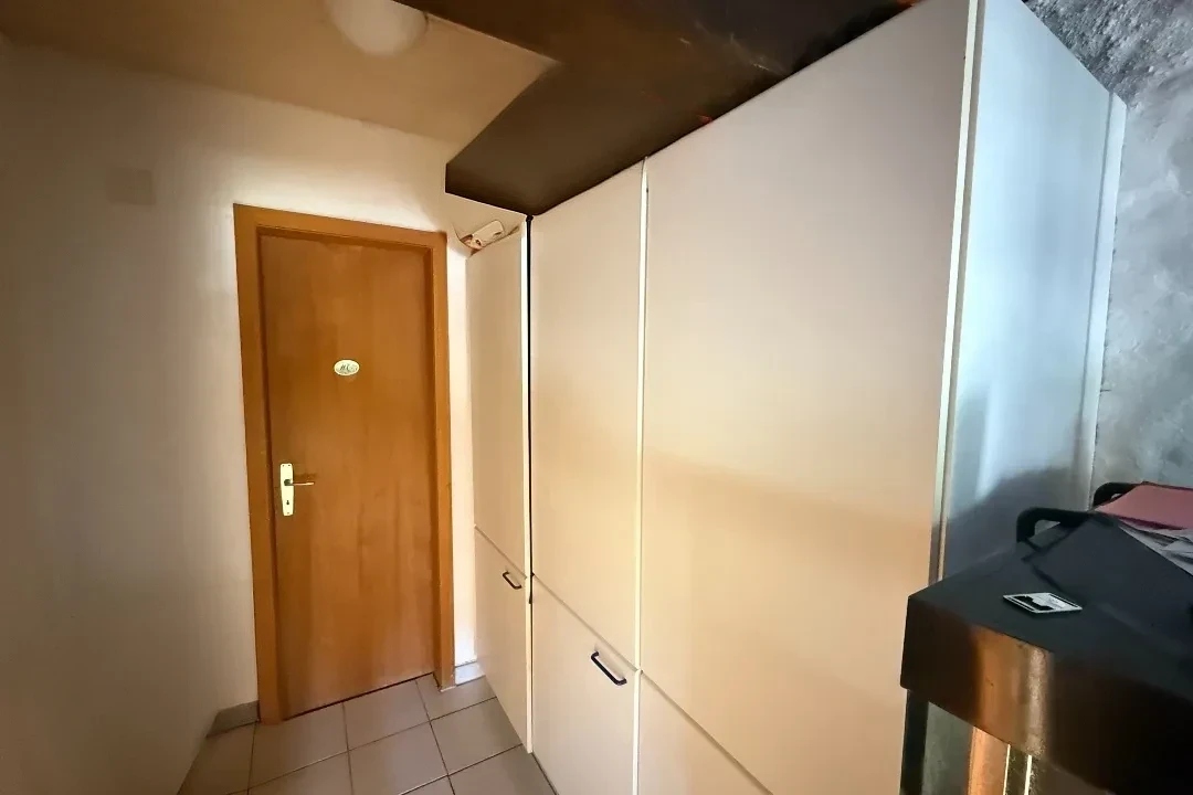 Flur mit Einbauschrank und Holztür