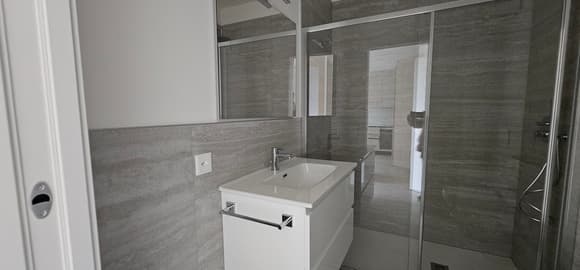 Modernes Badezimmer mit Dusche und Waschtisch