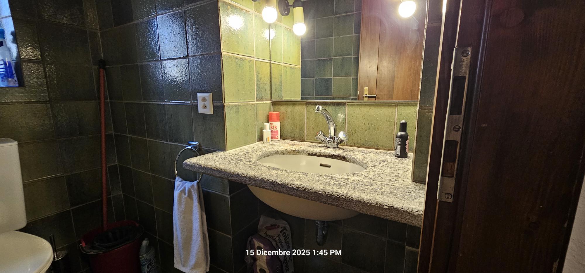 Badezimmer mit grün gefliesten Wänden und Waschbecken