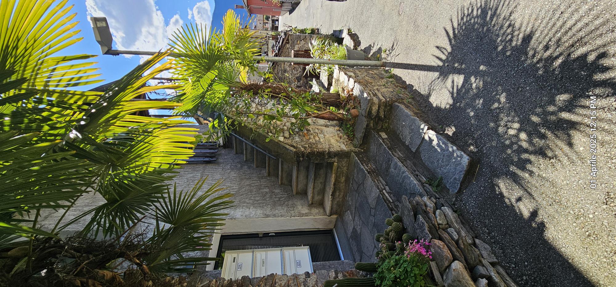 Außenansicht eines begrünten Hauseingangs mit Steintreppe