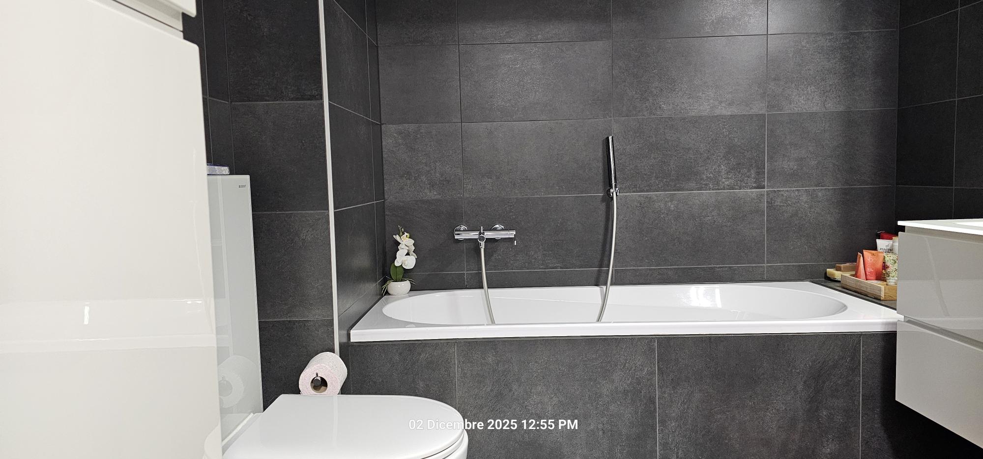 Modernes Badezimmer mit dunklen Fliesen und Badewanne