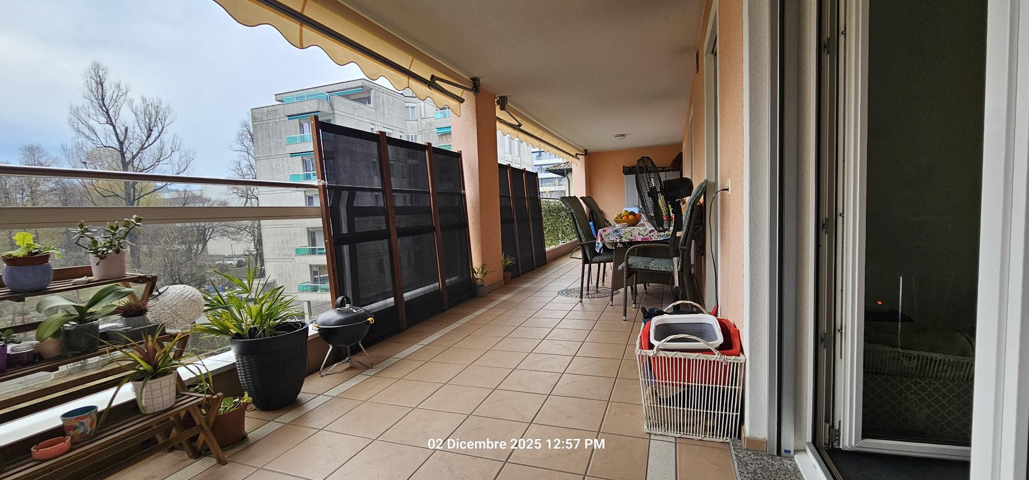 Große überdachte Balkon-Loggia mit Pflanzen und Sitzbereich