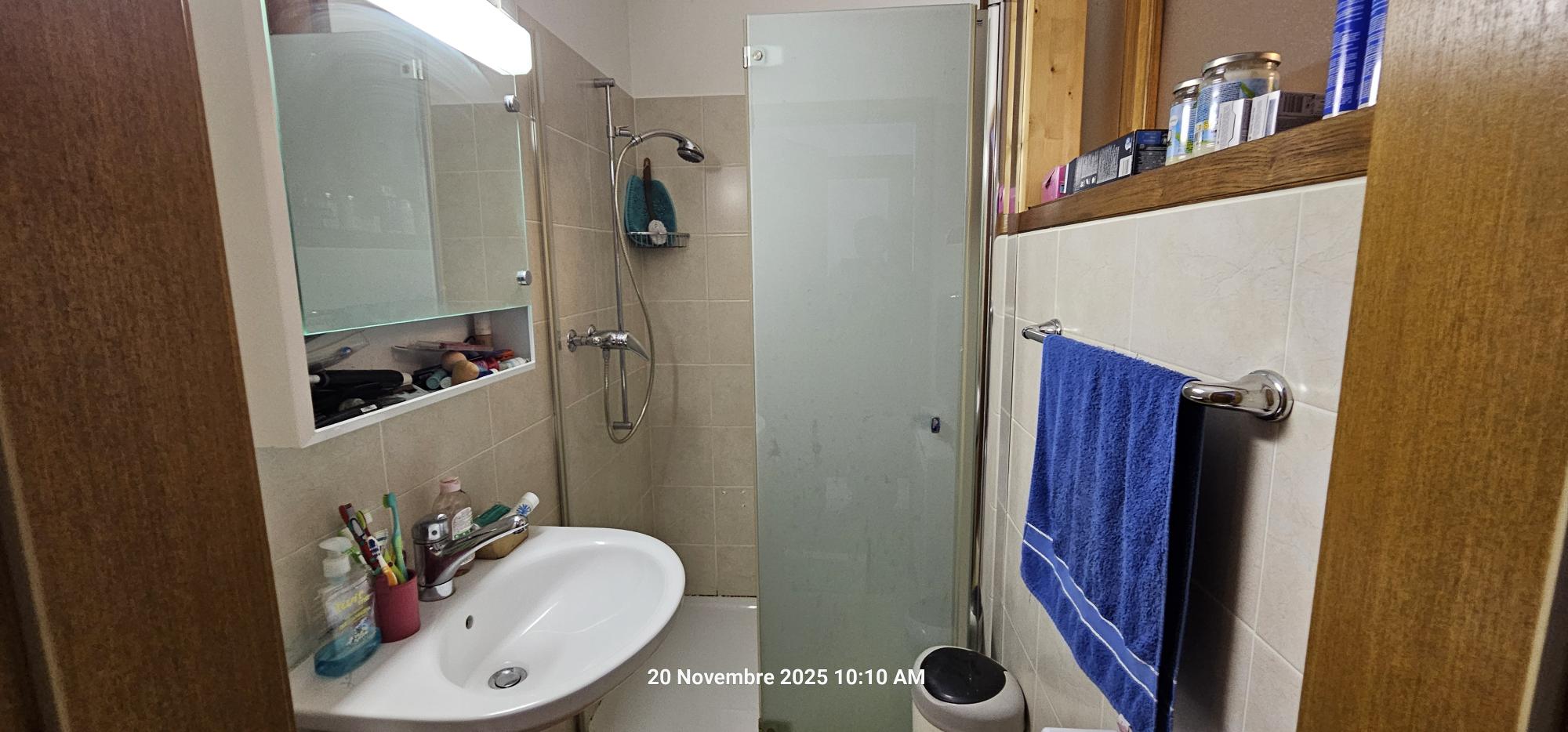 Kompaktes Badezimmer mit Dusche und Waschbecken