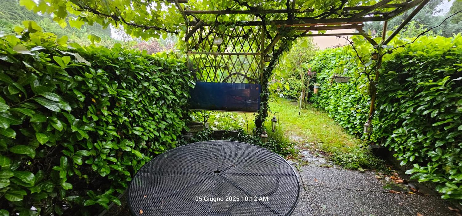Gartenpergola mit dichtem Grün