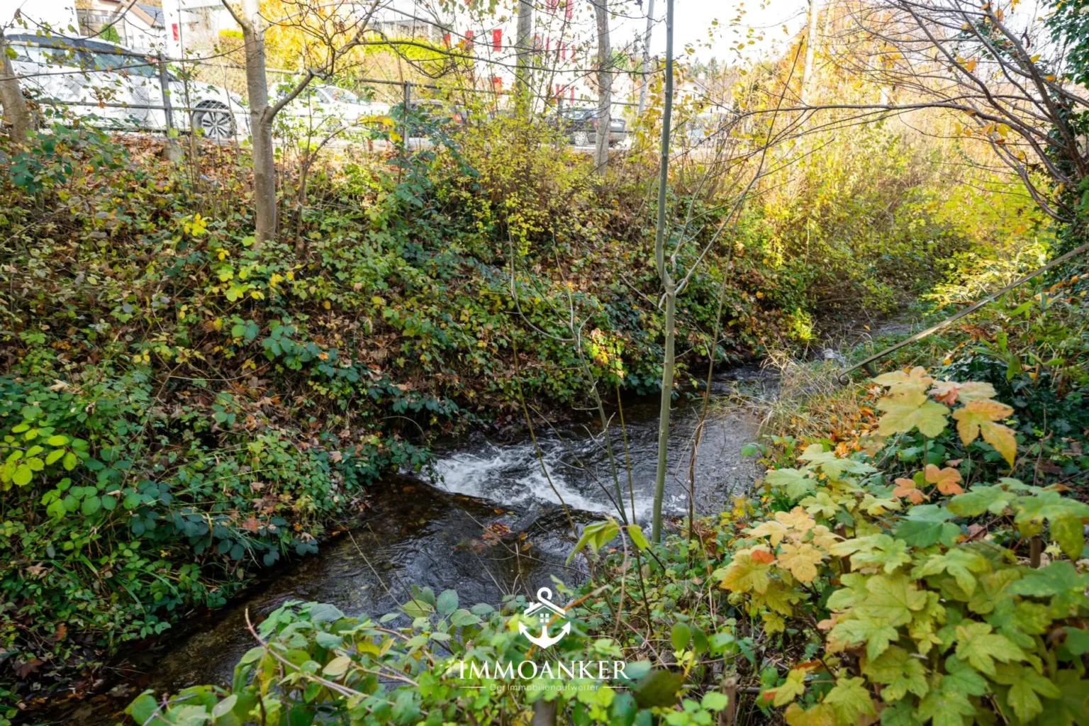 Bachlauf im grünen Uferbereich