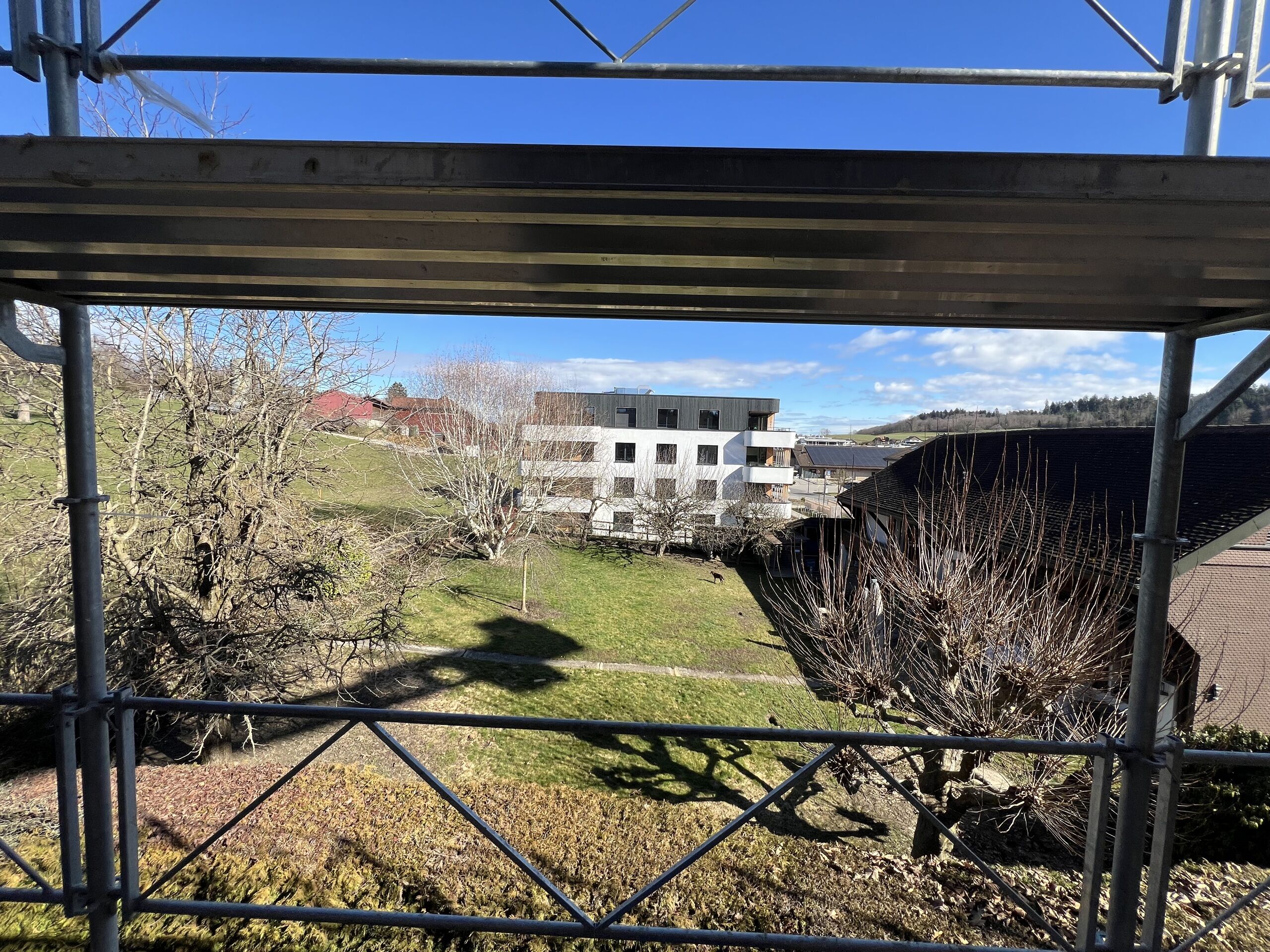 Blick vom Balkon auf Garten und Nachbargebäude