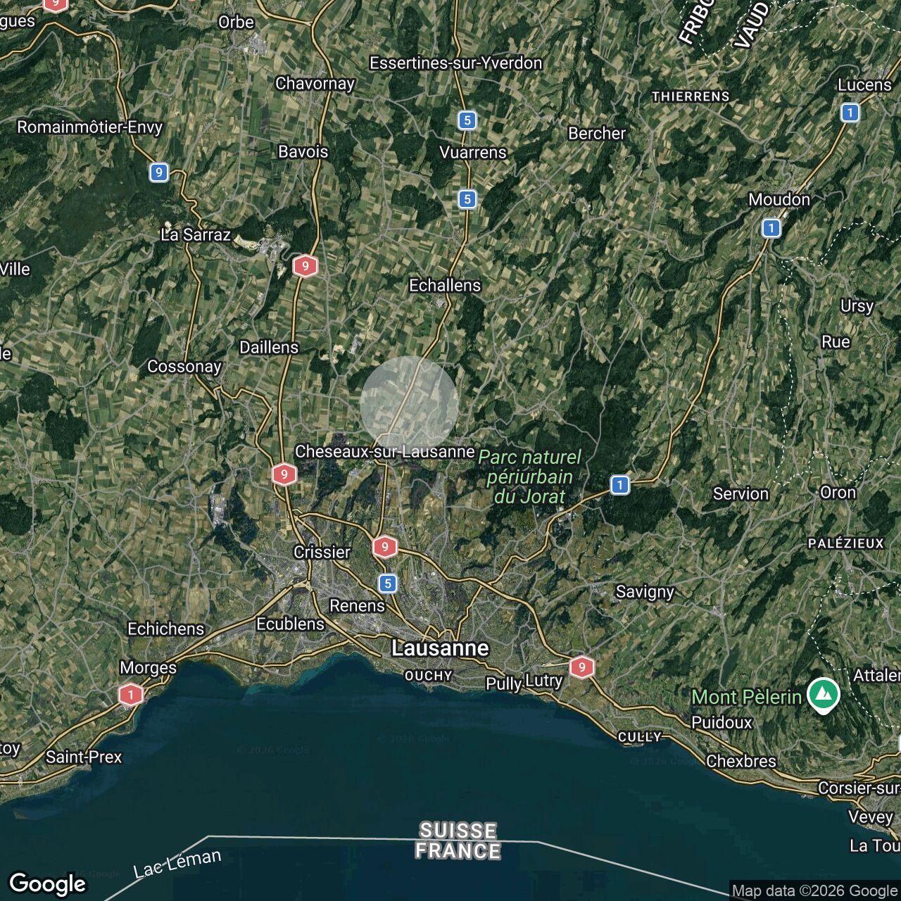 Satellitenkarte der Region Lausanne