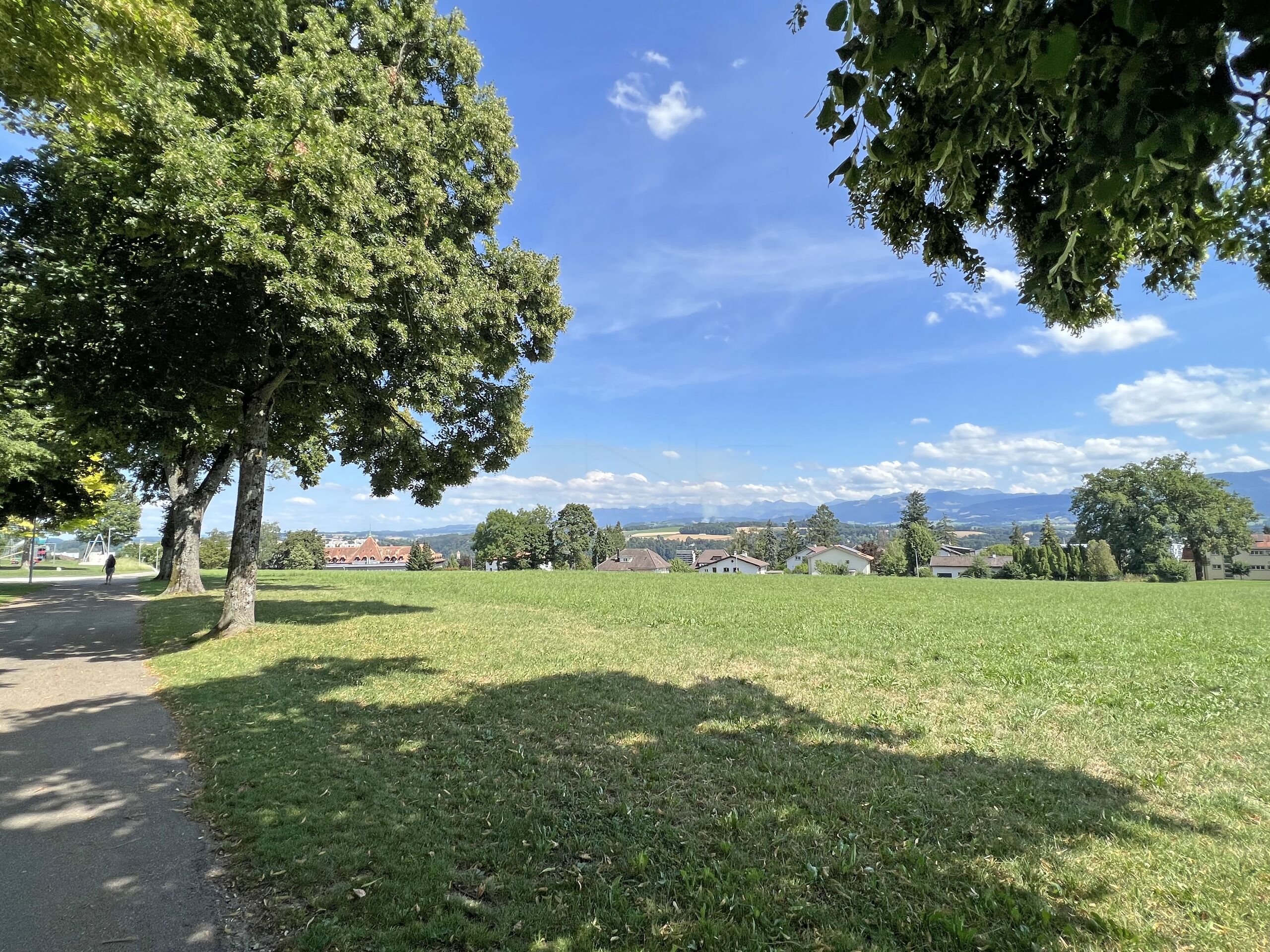Parklandschaft mit Bergblick