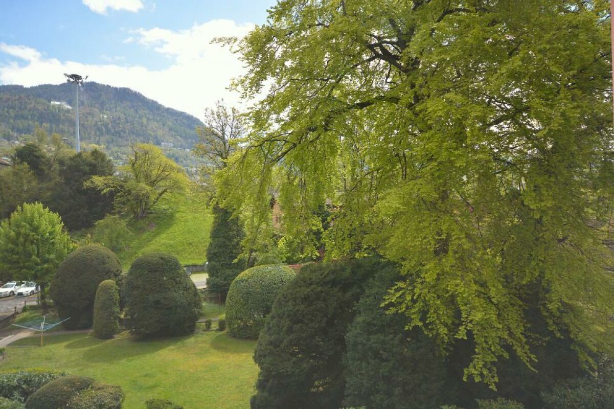 Gartenblick mit Bergkulisse