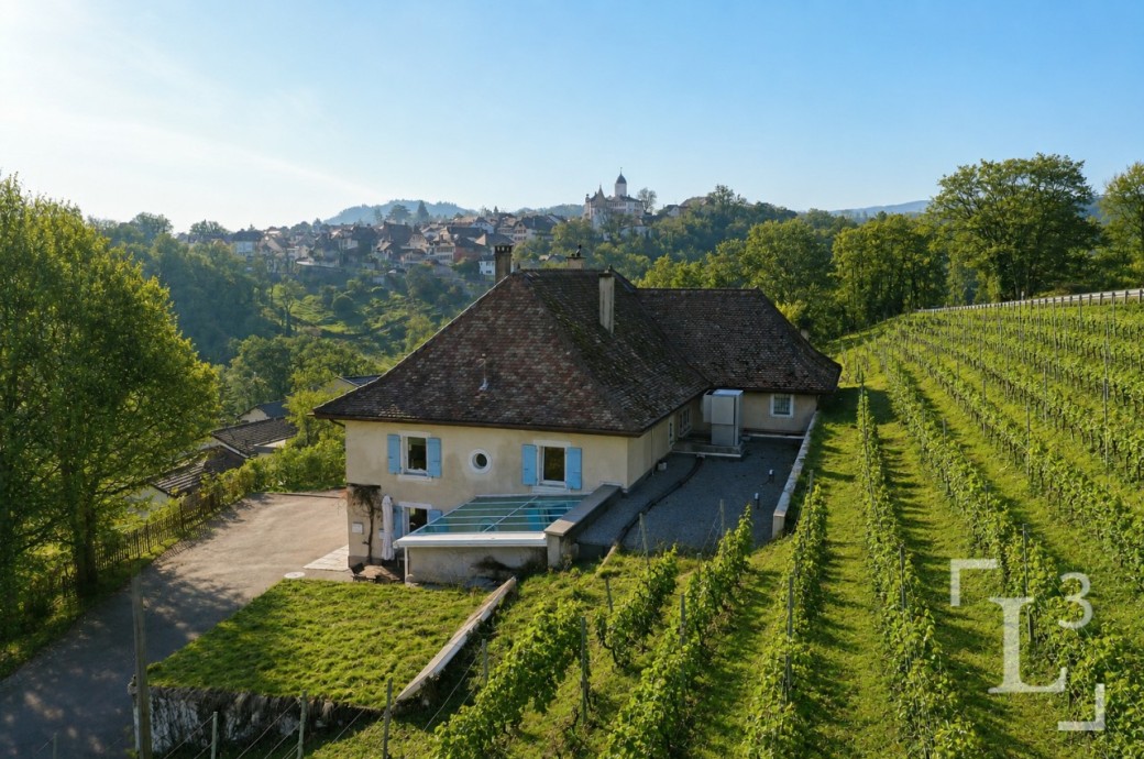 Weingut-Haus in Hanglage