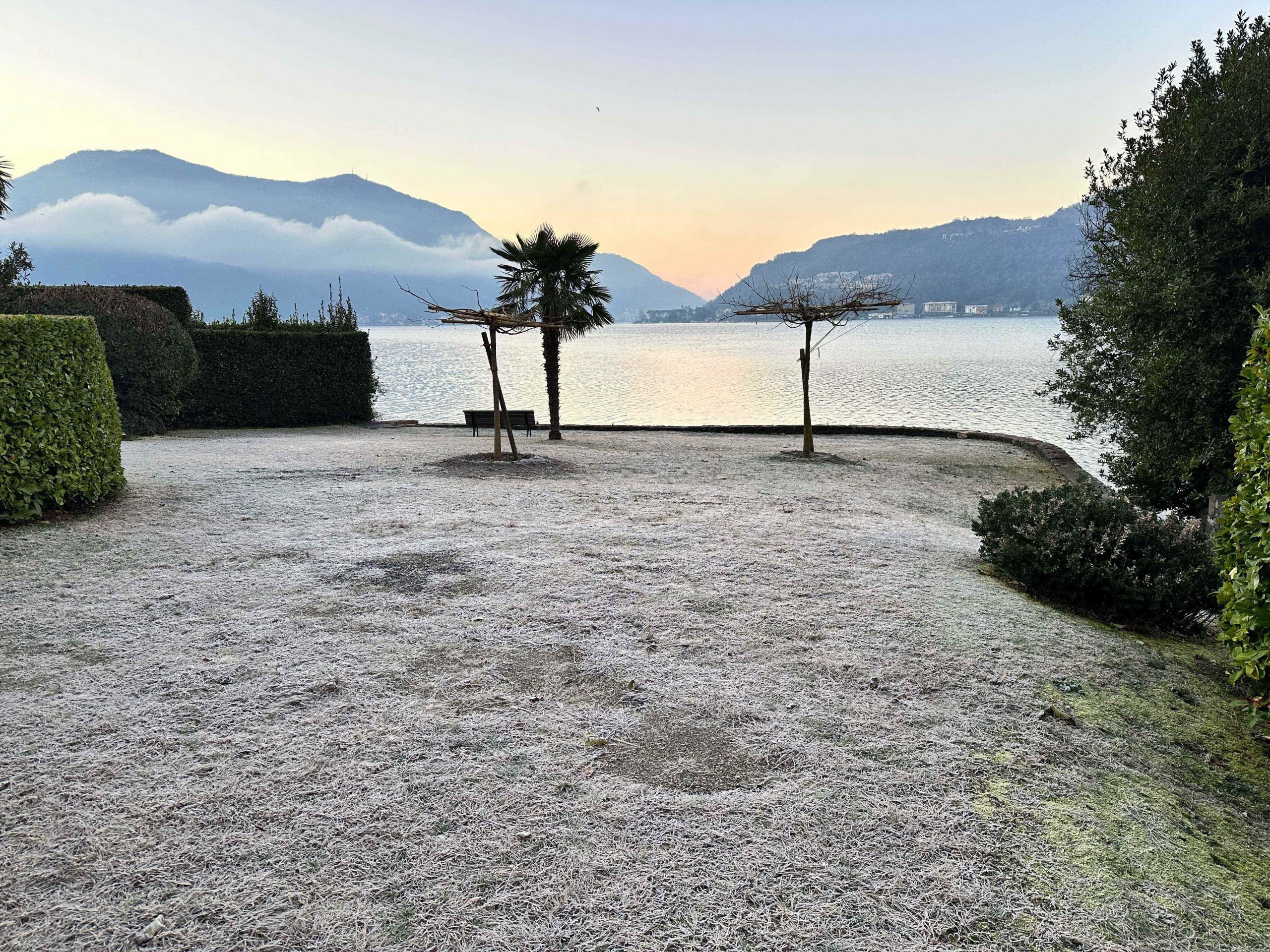 Ufergarten mit Seeblick
