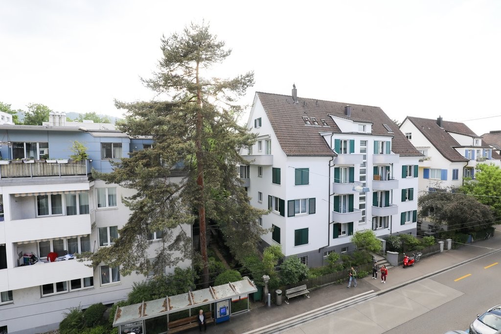 Straßenansicht mehrerer Wohngebäude mit hoher Kiefer