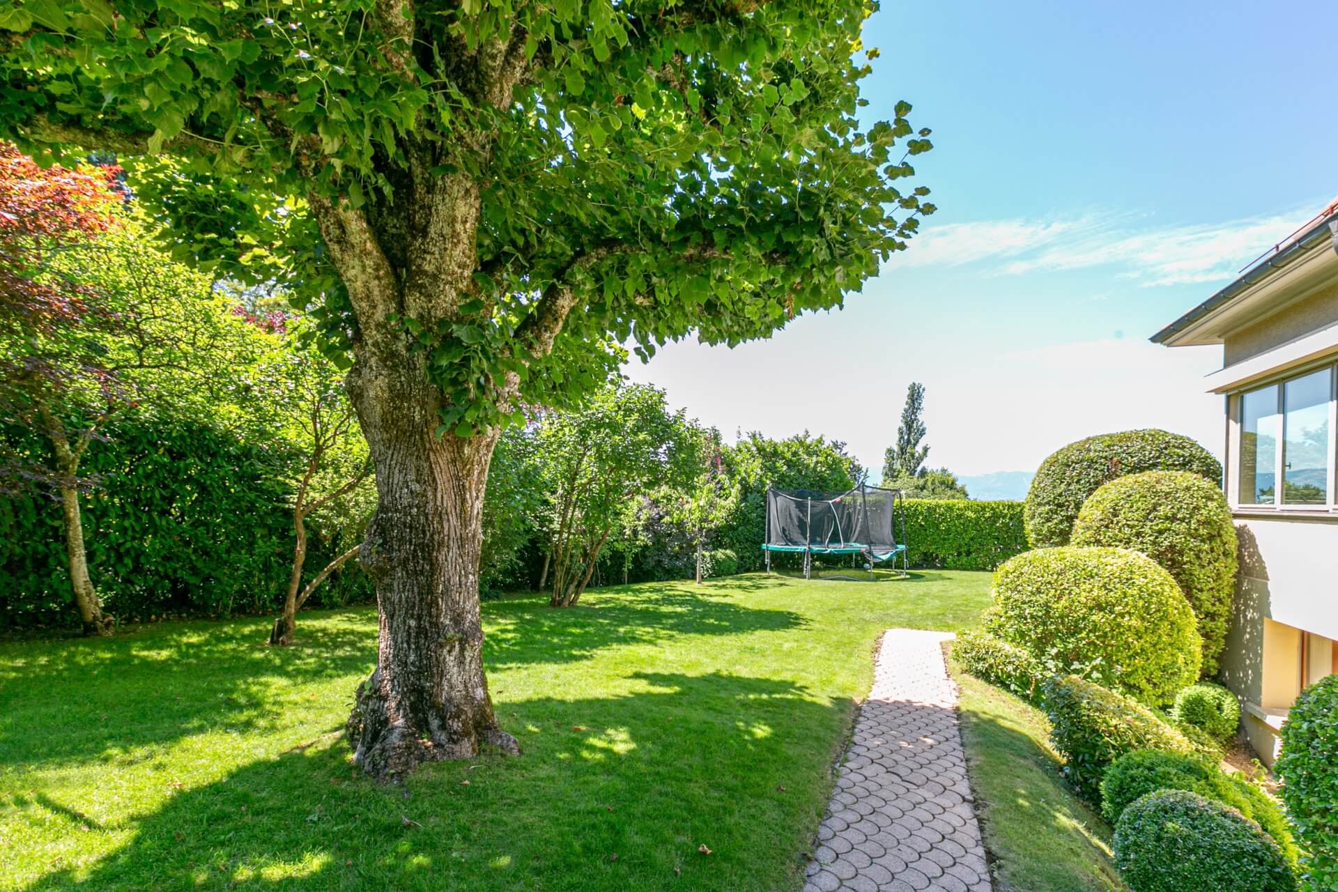 Gepflegter Garten mit Rasen und Baum