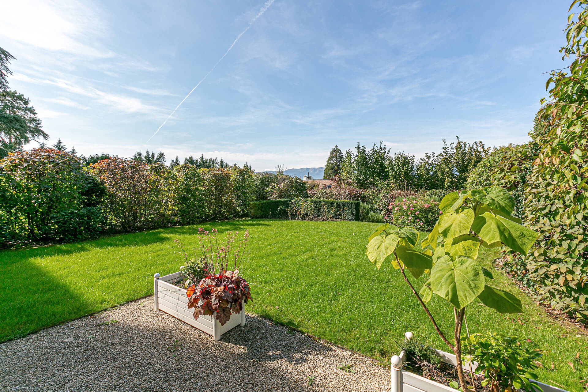 Gepflegter Garten mit Rasen und Hecken