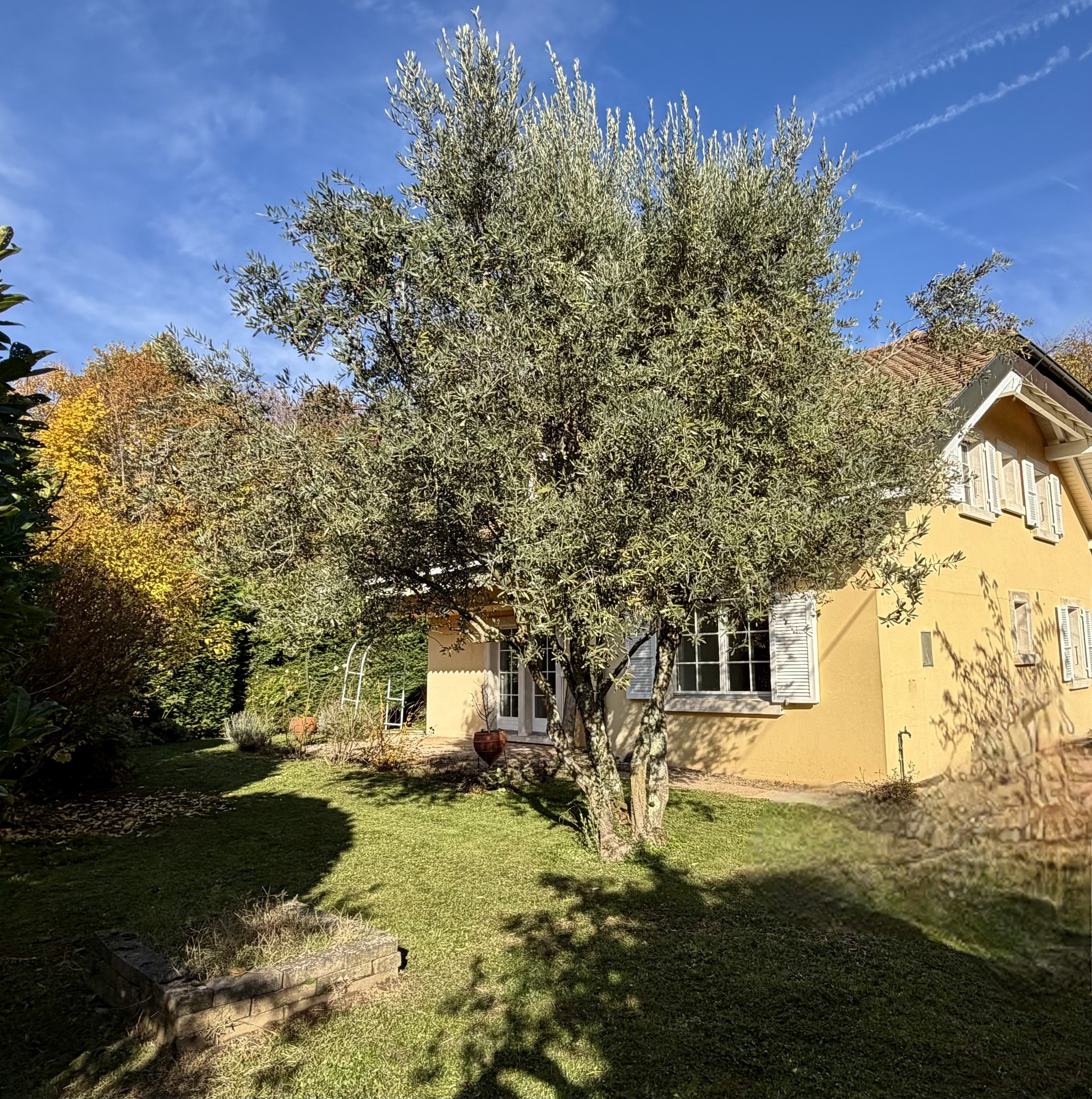 Gelbes Wohnhaus mit großem Garten