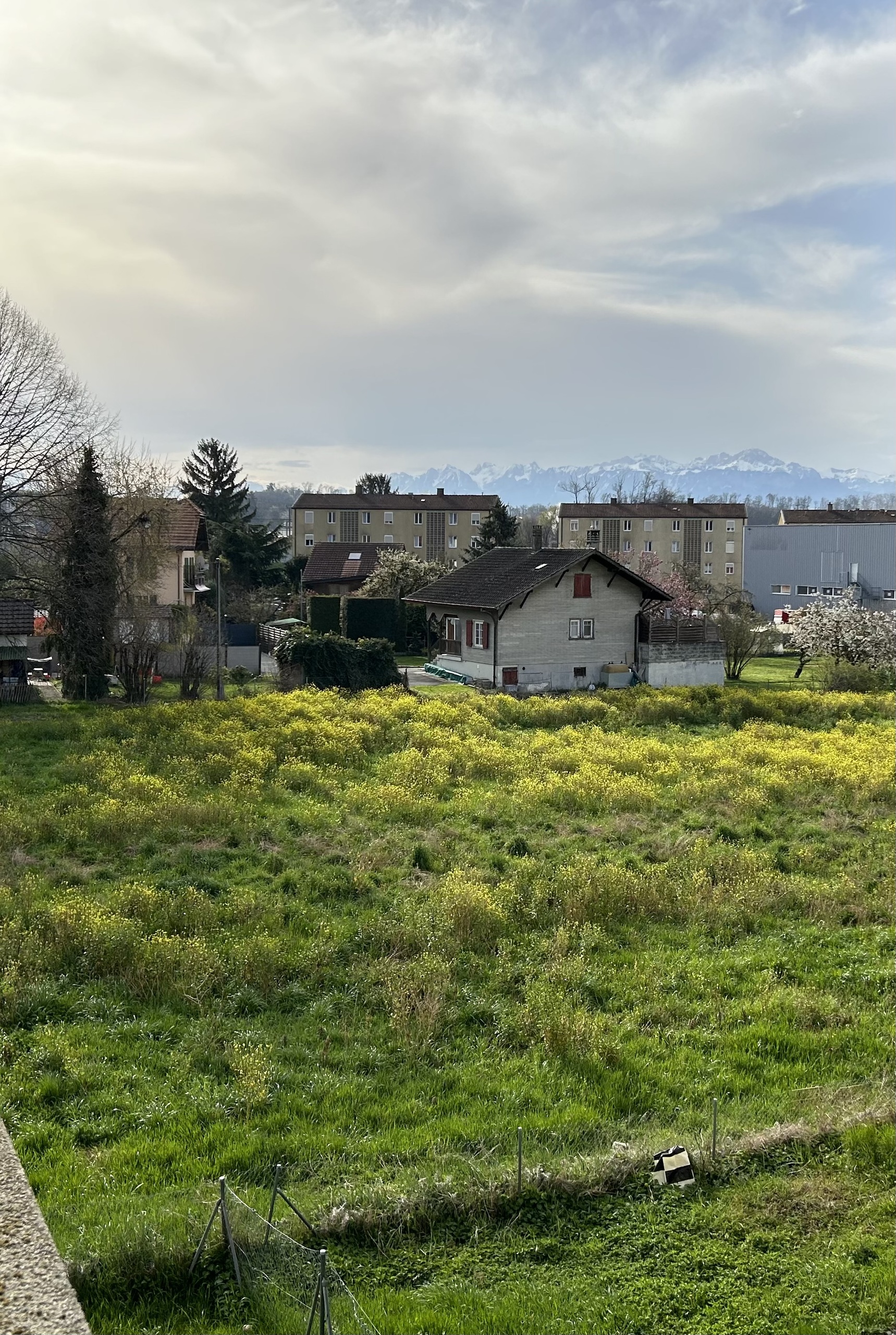 Ländliche Wohnlage mit Bergblick