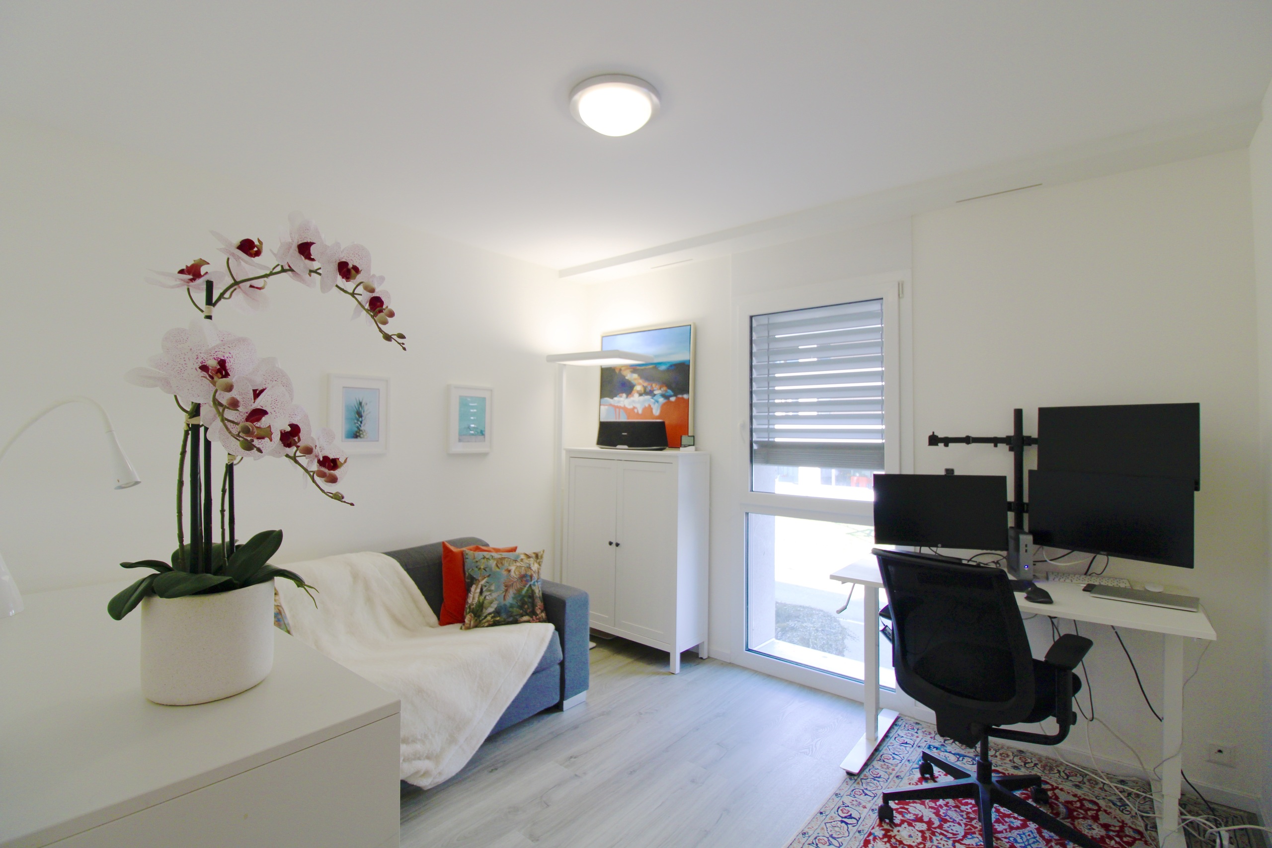 Helles Arbeits- und Wohnzimmer mit Homeoffice-Ecke