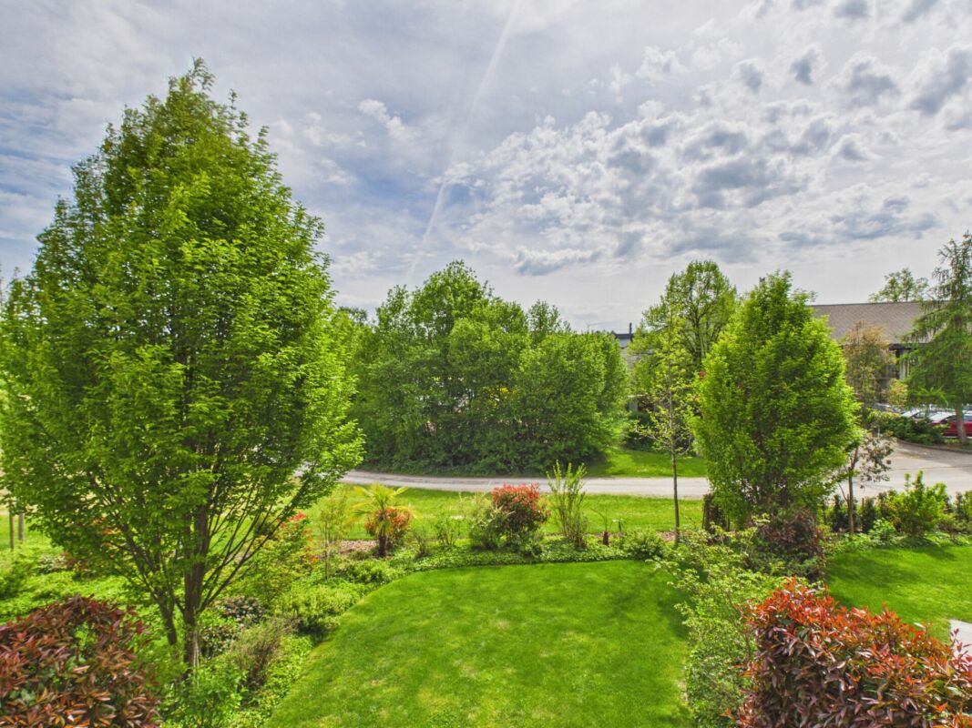 Gartenblick mit üppiger Begrünung