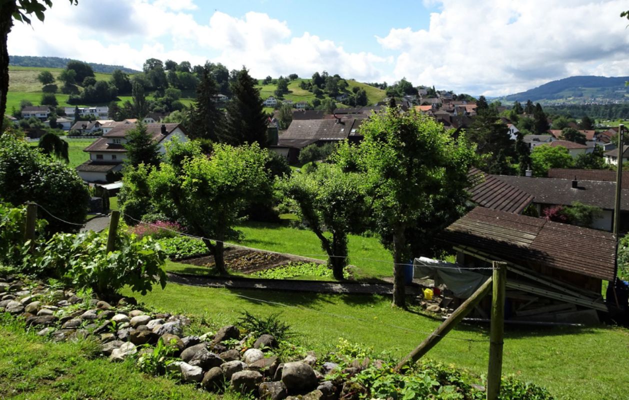 Landschaft mit Wohnsiedlung und Gärten