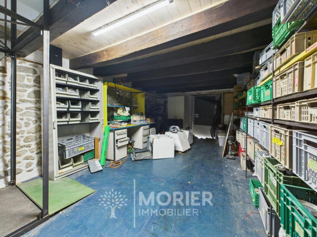 Keller-/Lagerraum mit Regalen und Arbeitsbereich