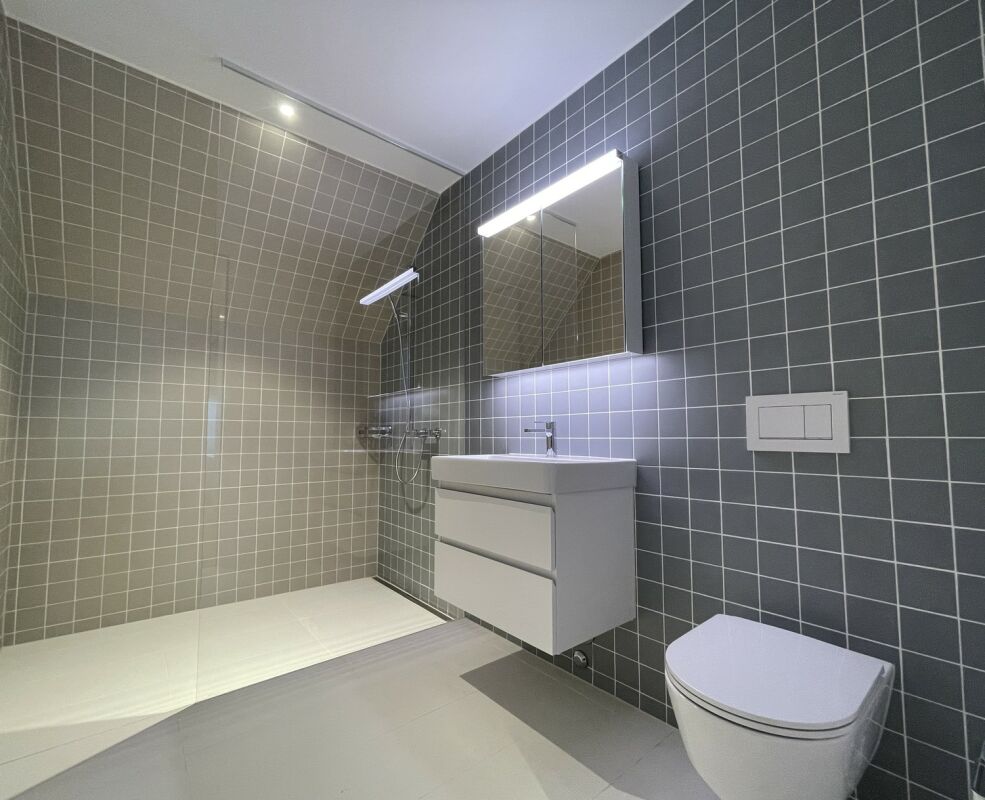 Modernes Badezimmer mit dunkler Fliesenwand und wandhängendem WC