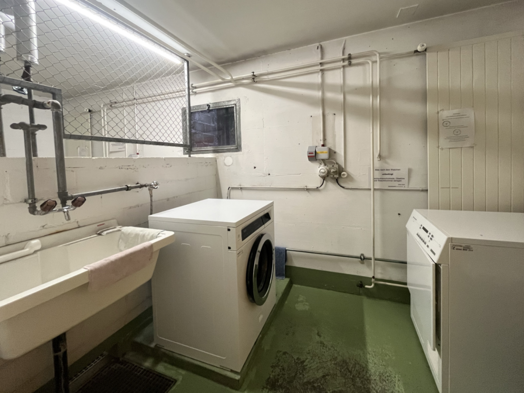 Hauswirtschaftsraum mit Waschmaschine und Wannenbecken