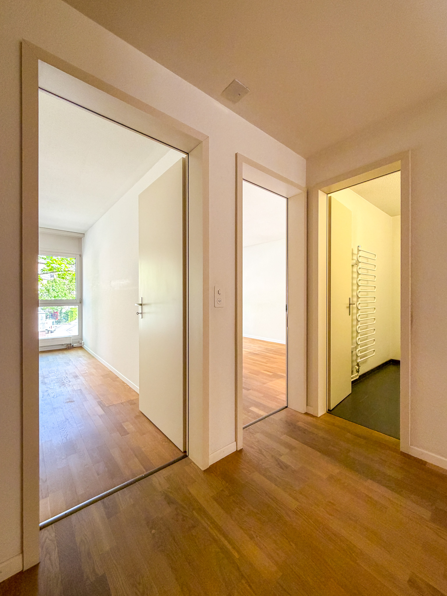 Heller Flur mit drei Türen und Holzfußboden