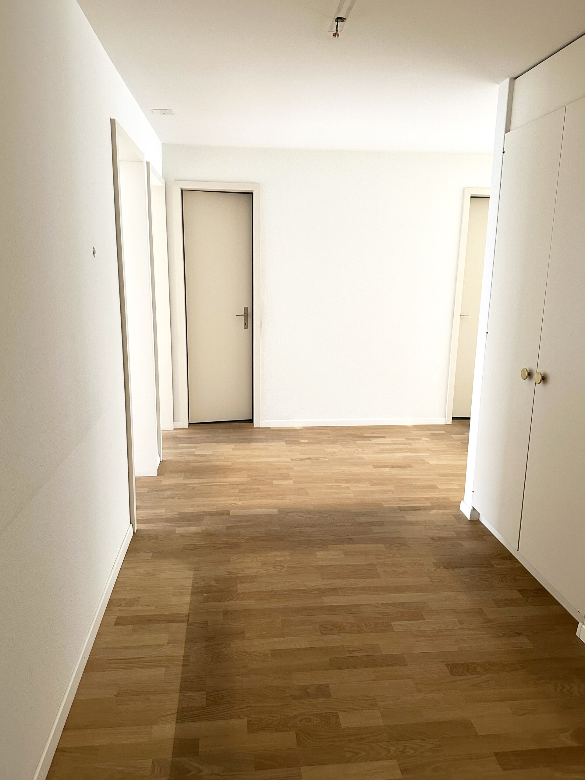 Heller Flur mit Holzboden