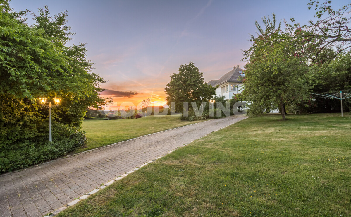 Garten mit Zufahrt bei Sonnenuntergang