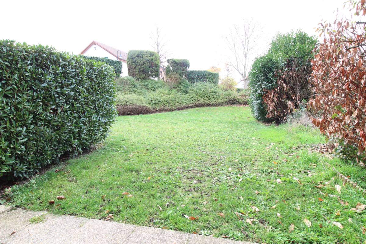 Garten mit Hecken und Rasenfläche