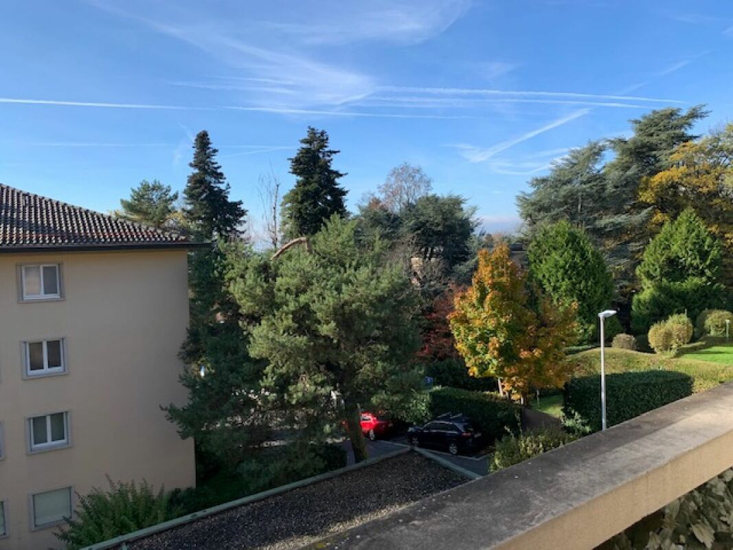 Blick vom Balkon ins Grüne