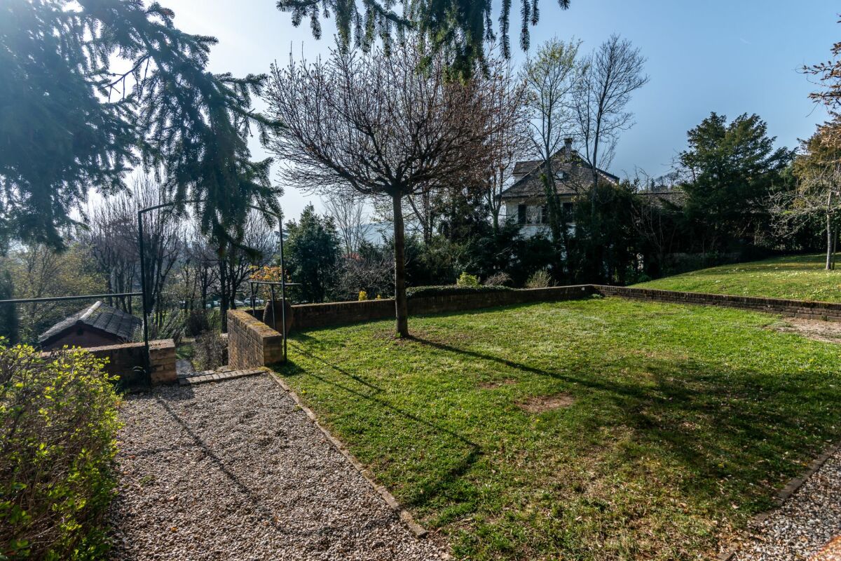 Garten mit Rasen und Bäumen