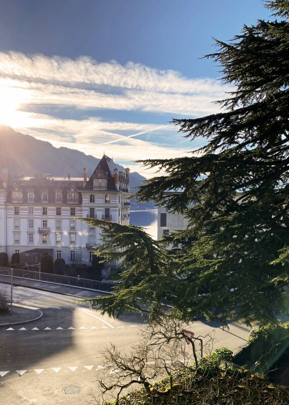 Seeblick mit historischer Stadtvilla
