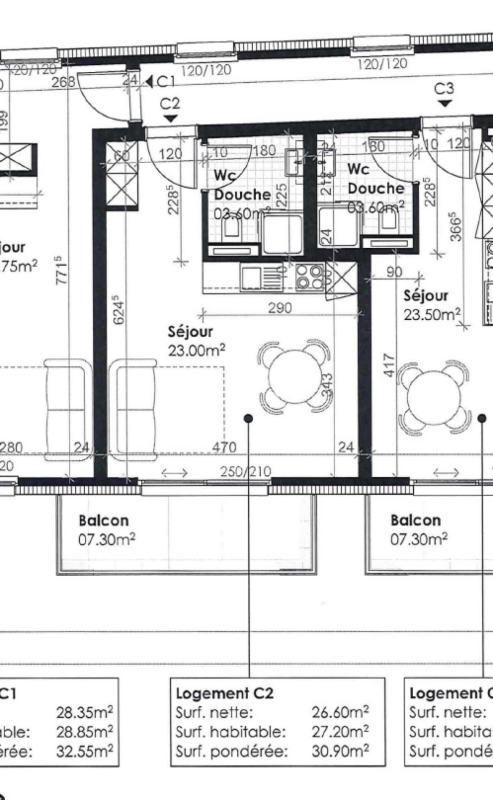 Wohnungsgrundriss mit Balkon und zwei Séjour-Zonen