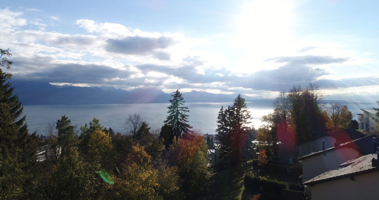 Seeblick mit Bergen und Bäumen