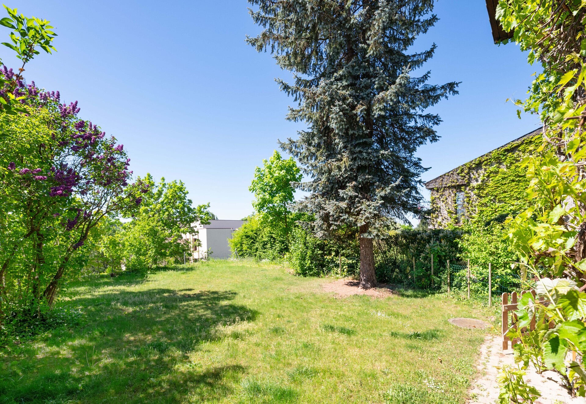 Großer Garten mit altem Baumbestand