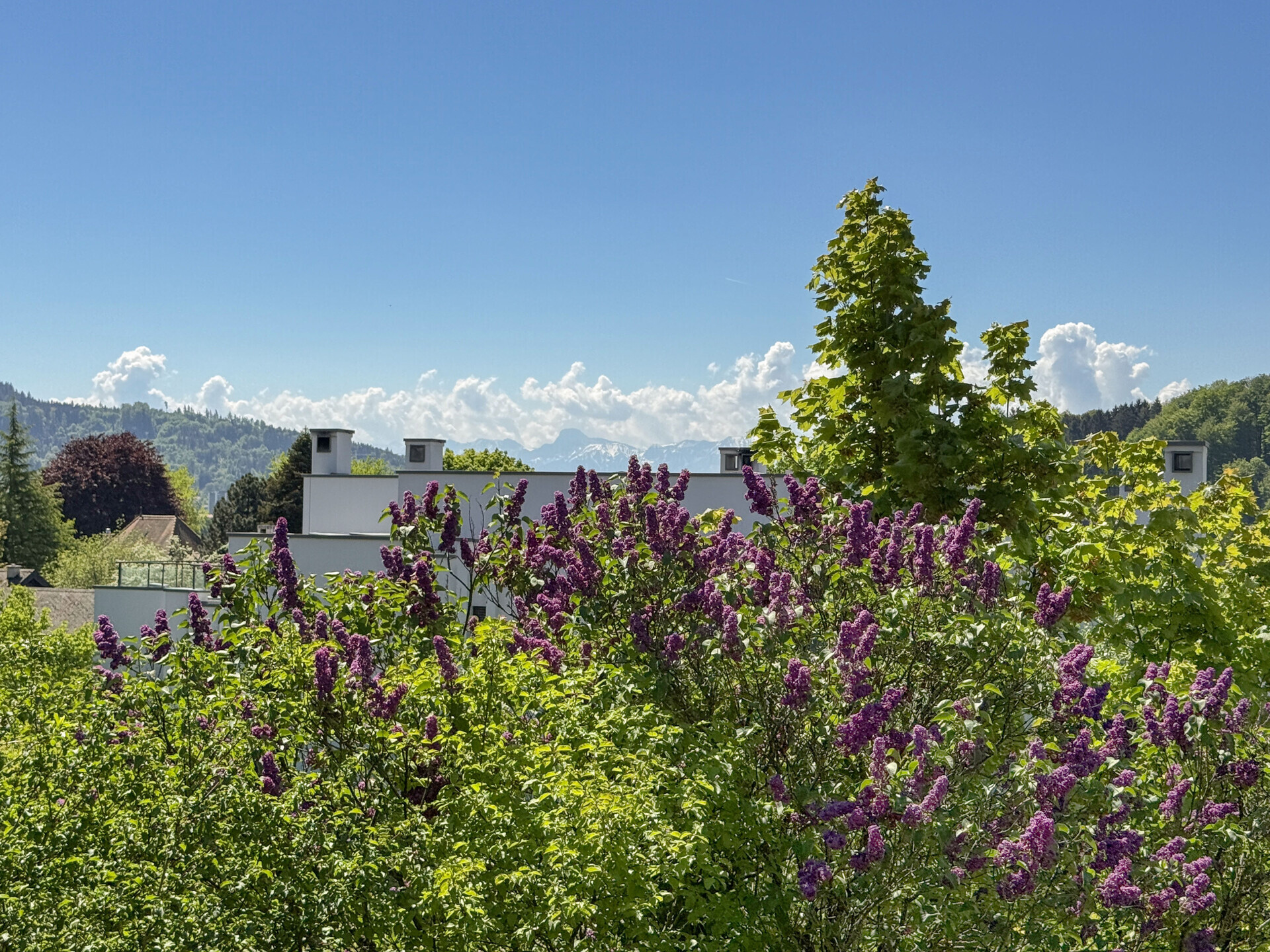 Gartenblick mit Bergen und Wohngebäuden