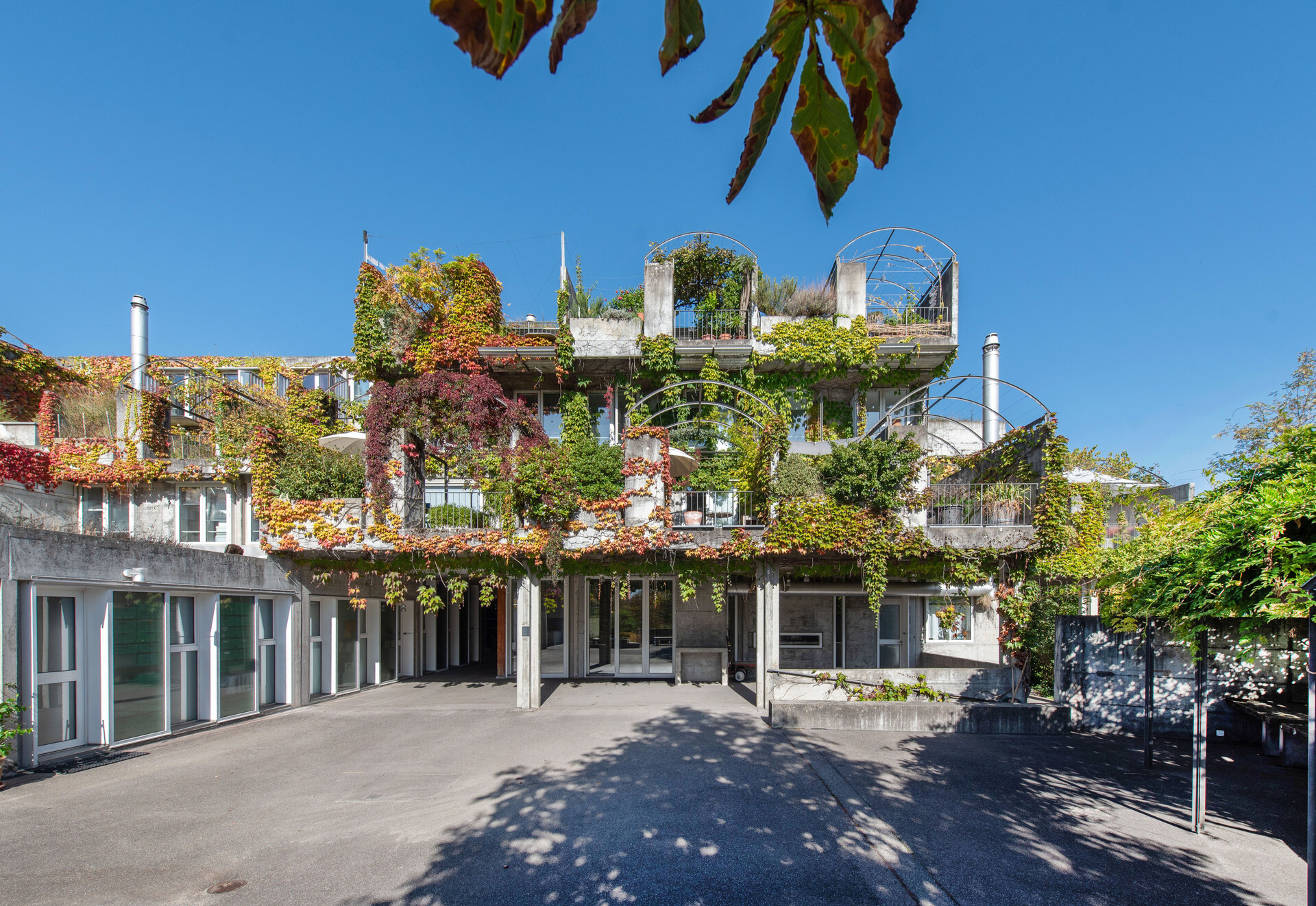 Begrünte moderne Wohnanlage mit Innenhof