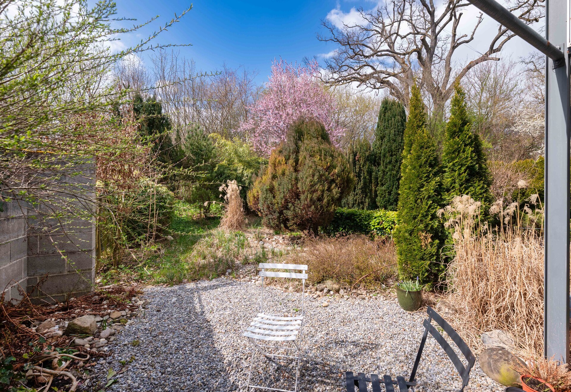 Ruhiger Garten mit Kiesfläche und Ziergehölzen