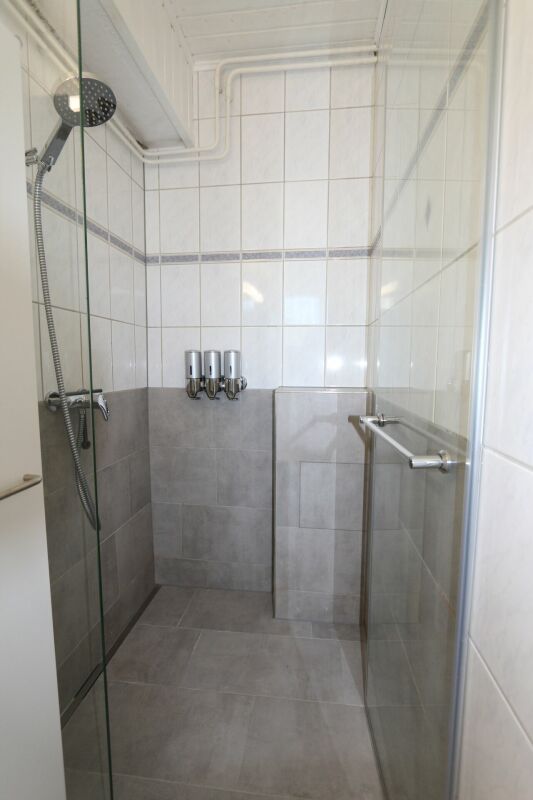 Badezimmer-Dusche mit Glastrennwänden