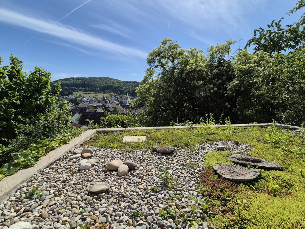 Garten mit Ausblick
