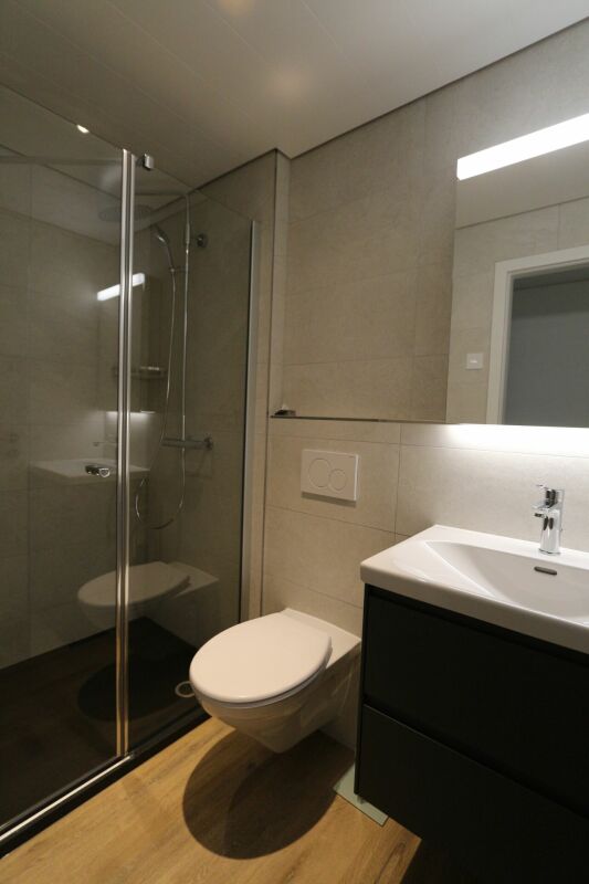Modernes Bad mit Dusche und WC